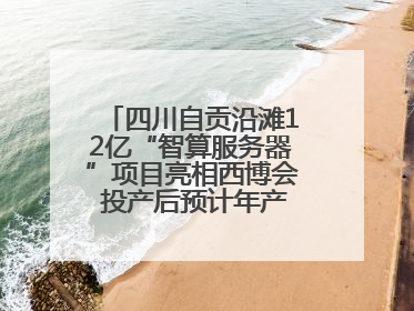 四川自贡沿滩12亿“智算服务器”项目亮相西博会 投产后预计年产值达15亿元