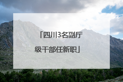 四川3名副厅级干部任新职