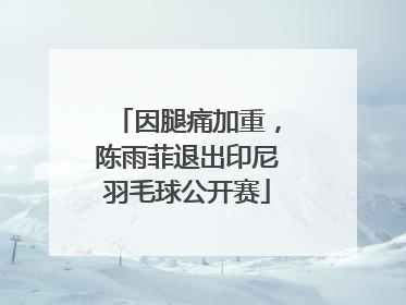 因腿痛加重，陈雨菲退出印尼羽毛球公开赛
