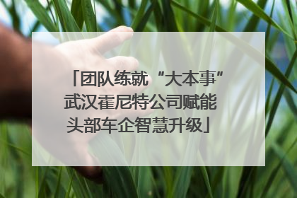 团队练就“大本事” 武汉霍尼特公司赋能头部车企智慧升级