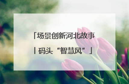 场景创新河北故事丨码头“智慧风”