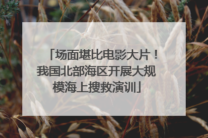 场面堪比电影大片！我国北部海区开展大规模海上搜救演训