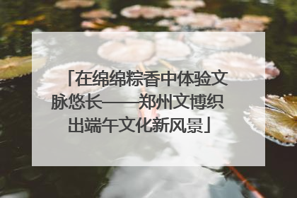 在绵绵粽香中体验文脉悠长——郑州文博织出端午文化新风景