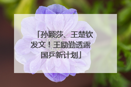 孙颖莎、王楚钦发文！王励勤透露国乒新计划
