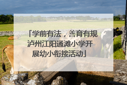 学前有法，善育有规 泸州江阳通滩小学开展幼小衔接活动