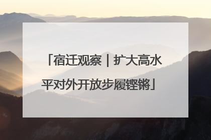 宿迁观察｜扩大高水平对外开放步履铿锵