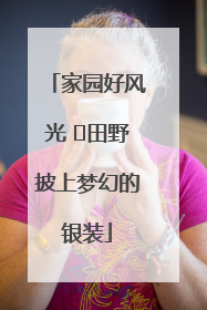 家园好风光 ⎮田野披上梦幻的银装
