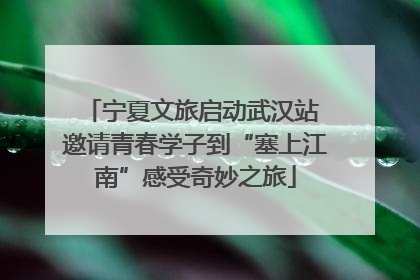 宁夏文旅启动武汉站 邀请青春学子到“塞上江南”感受奇妙之旅
