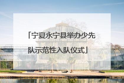 宁夏永宁县举办少先队示范性入队仪式