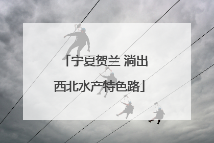 宁夏贺兰 淌出西北水产特色路