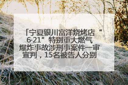 宁夏银川富洋烧烤店“6·21”特别重大燃气爆炸事故涉刑事案件一审宣判，15名被告人分别判刑六年至一年不等