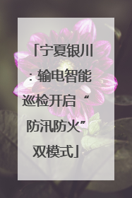 宁夏银川：输电智能巡检开启“防汛防火”双模式