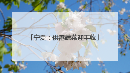 宁夏：供港蔬菜迎丰收