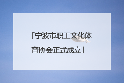宁波市职工文化体育协会正式成立