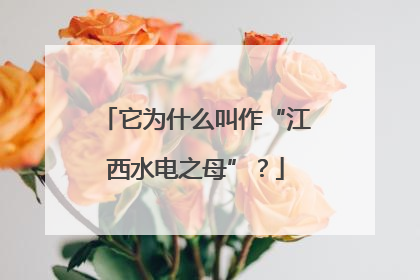 它为什么叫作“江西水电之母”？
