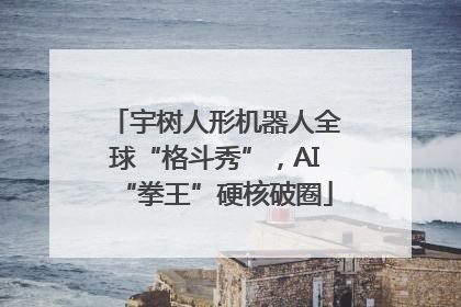 宇树人形机器人全球“格斗秀”，AI“拳王”硬核破圈