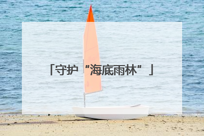 守护“海底雨林”