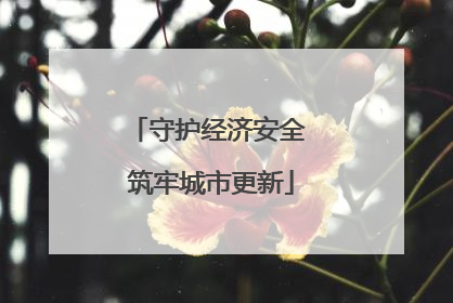 守护经济安全 筑牢城市更新