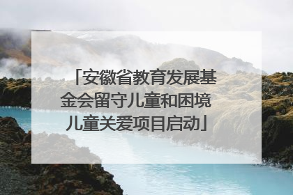 安徽省教育发展基金会留守儿童和困境儿童关爱项目启动