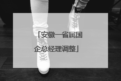 安徽一省属国企总经理调整