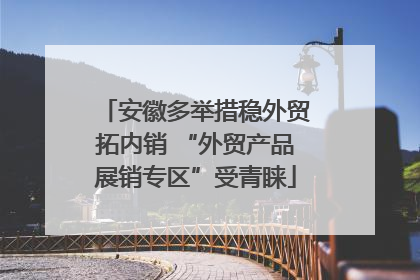 安徽多举措稳外贸拓内销 “外贸产品展销专区”受青睐