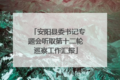 安阳县委书记专题会听取第十二轮巡察工作汇报