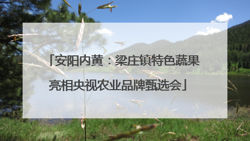 安阳内黄：梁庄镇特色蔬果亮相央视农业品牌甄选会