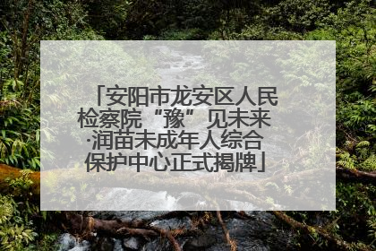 安阳市龙安区人民检察院“豫”见未来·润苗未成年人综合保护中心正式揭牌