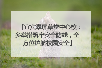 宜宾翠屏草堂中心校：多举措筑牢安全防线，全方位护航校园安全