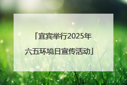 宜宾举行2025年六五环境日宣传活动