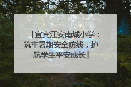 宜宾江安南城小学：筑牢暑期安全防线，护航学生平安成长
