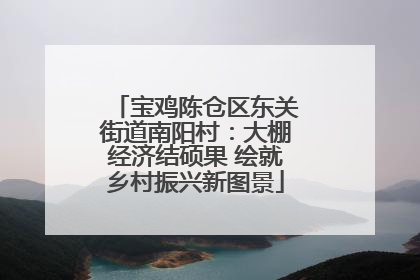 宝鸡陈仓区东关街道南阳村：大棚经济结硕果 绘就乡村振兴新图景