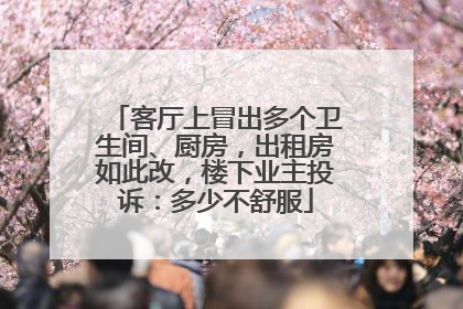 客厅上冒出多个卫生间、厨房，出租房如此改，楼下业主投诉：多少不舒服