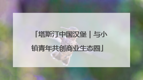 塔斯汀中国汉堡｜与小镇青年共创商业生态圈