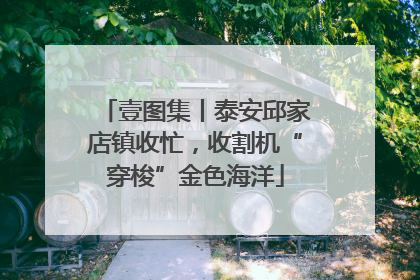 壹图集丨泰安邱家店镇收忙，收割机“穿梭”金色海洋