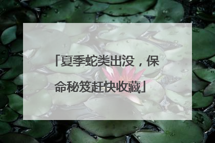 夏季蛇类出没，保命秘笈赶快收藏