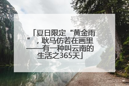 夏日限定“黄金雨”，耿马仿若在画里——有一种叫云南的生活之365天