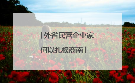 外省民营企业家何以扎根商南