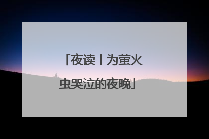 夜读丨为萤火虫哭泣的夜晚