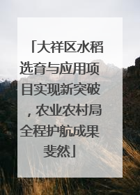 大祥区水稻选育与应用项目实现新突破，农业农村局全程护航成果斐然