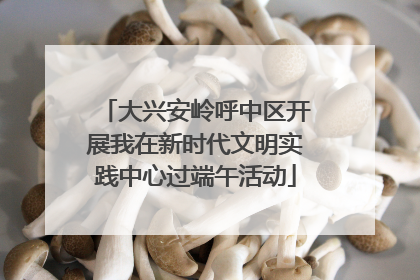 大兴安岭呼中区开展我在新时代文明实践中心过端午活动
