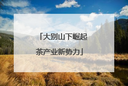 大别山下崛起茶产业新势力