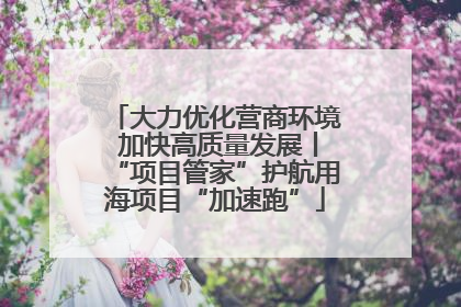 大力优化营商环境 加快高质量发展丨“项目管家”护航用海项目“加速跑”