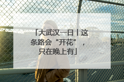 大武汉一日丨这条路会“开花”，只在晚上有