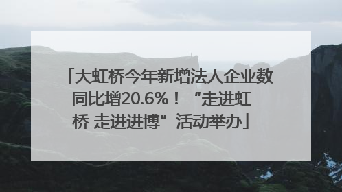 大虹桥今年新增法人企业数同比增20.6%！“走进虹桥 走进进博”活动举办