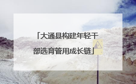 大通县构建年轻干部选育管用成长链