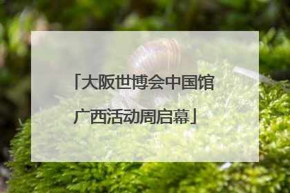 大阪世博会中国馆广西活动周启幕