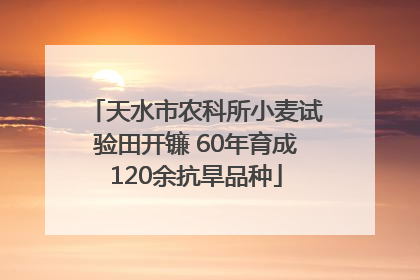 天水市农科所小麦试验田开镰 60年育成120余抗旱品种