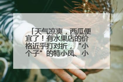 天气凉爽，西瓜便宜了！有水果店的价格近乎打对折，“小个子”的特小凤、小糖丸更好卖