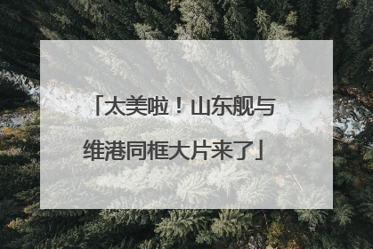 太美啦！山东舰与维港同框大片来了